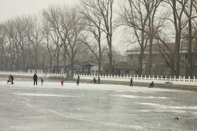 1575863066844324.jpg 33.jpg