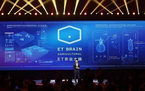 1599449941651454.jpg 9956956.jpg