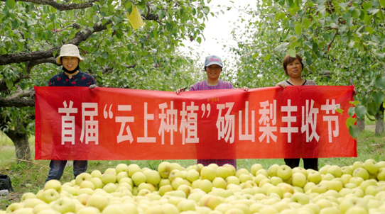 1664032243924143.png x.png